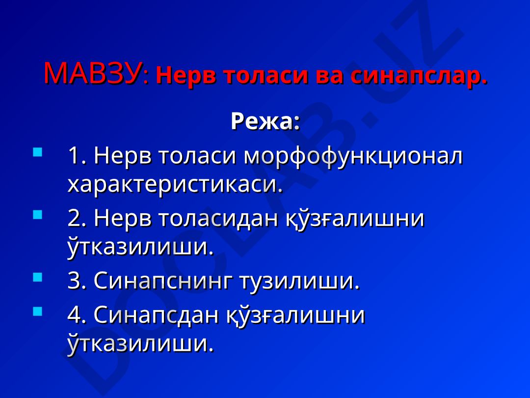 Нерв толаси ва синапслар