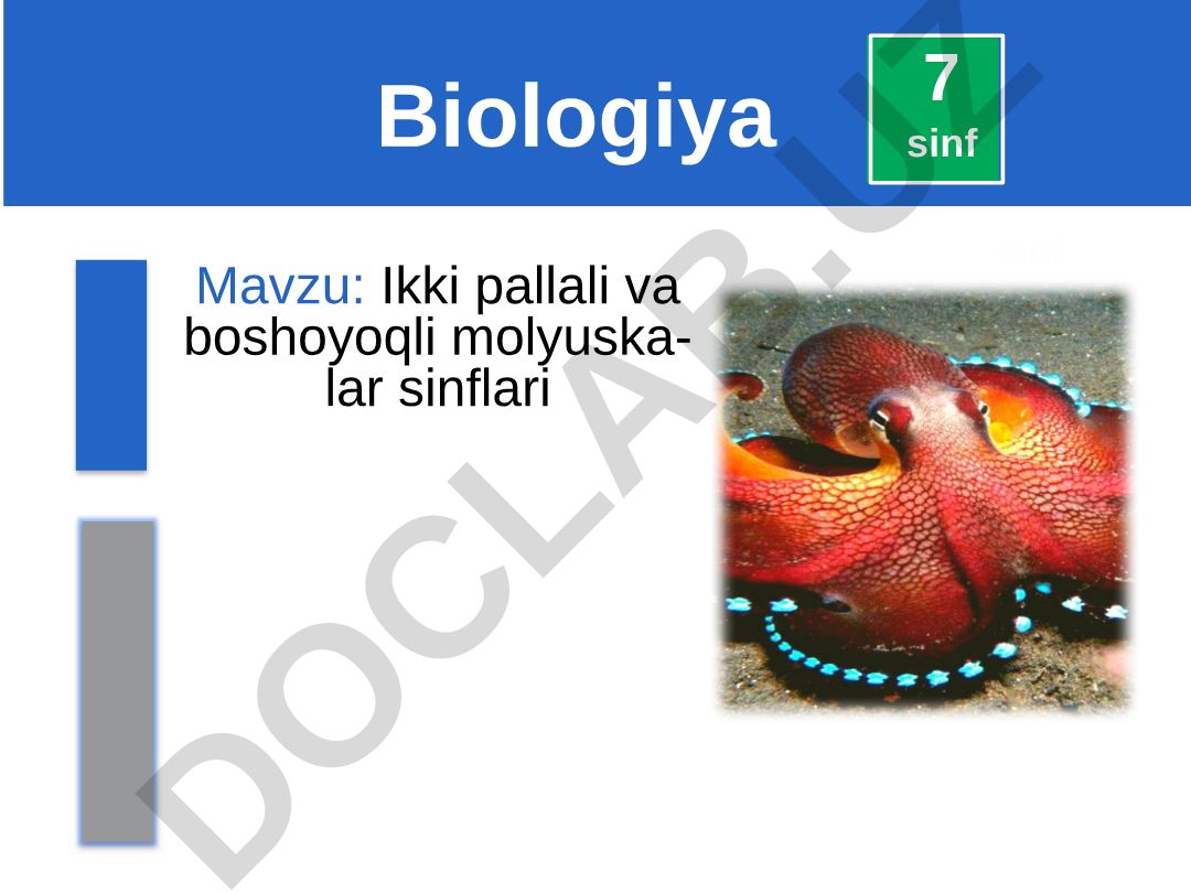 Ikki pallali va boshoyoqli molyuska-lar sinflari
