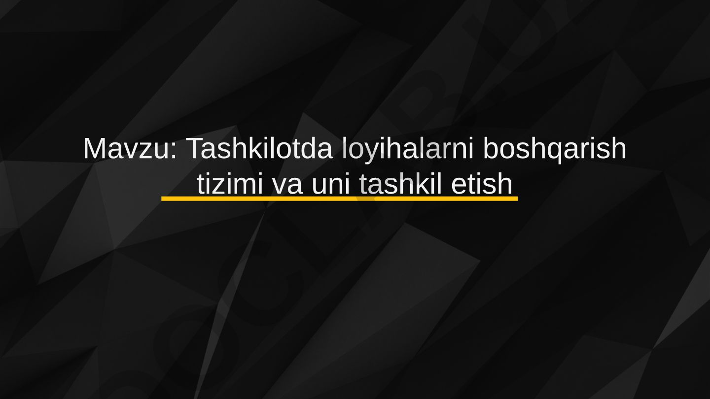 Tashkilotda loyihalarni boshqarish tizimi va uni tashkil etish