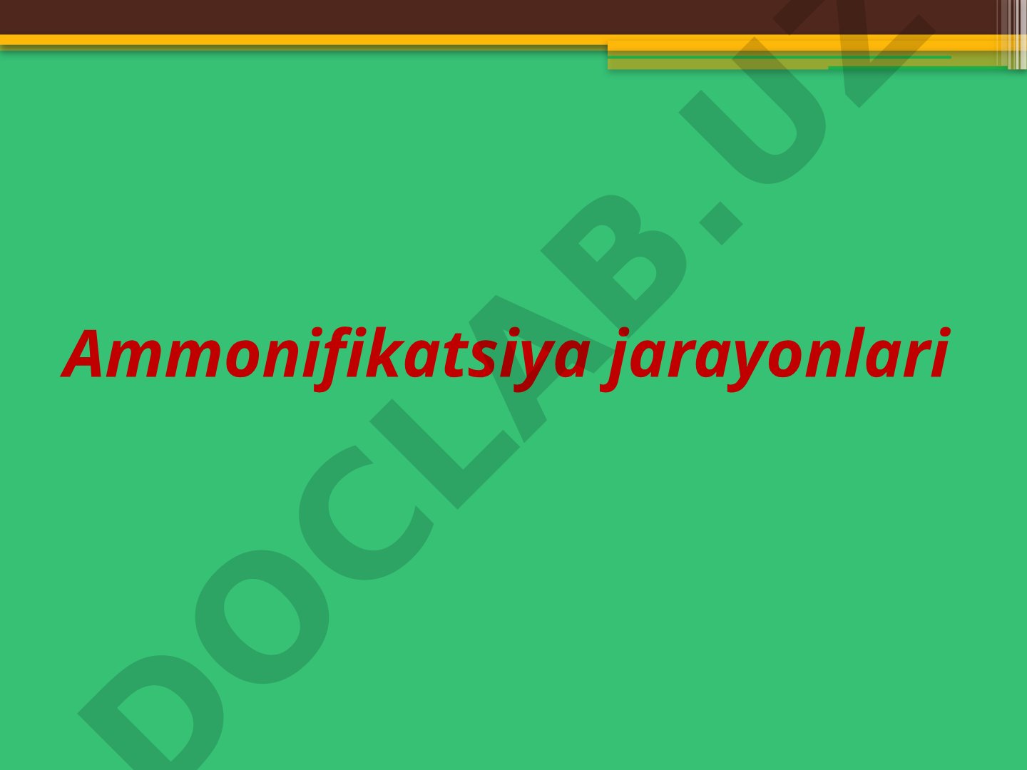 Ammonifikatsiya jarayonlari