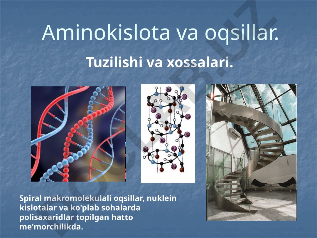 Aminokislota va oqsillar tuzilishi va xossalari