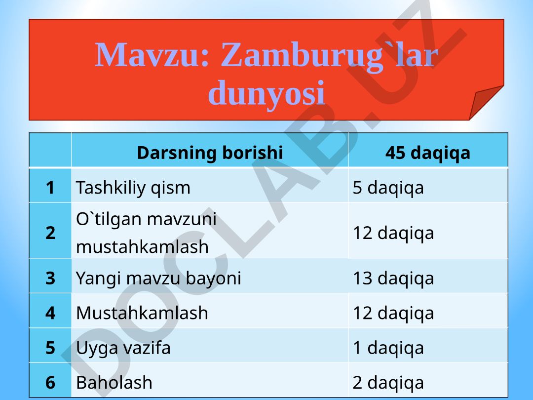 Zamburug`lar dunyosi