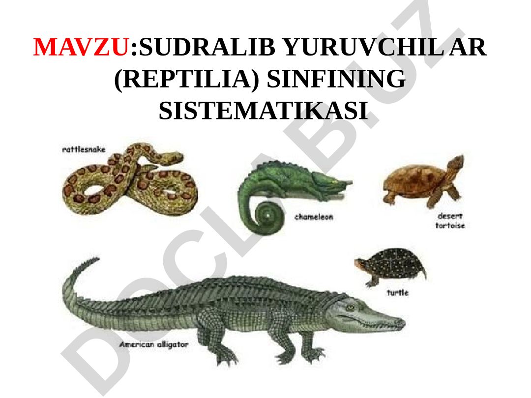 Sudralib yuruvchilar (Reptilia) sinfining sistemati