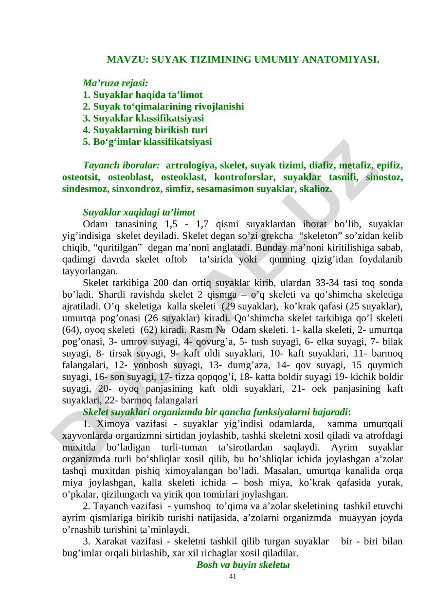 Suyak TIZIMining umumiy anatomiyasi