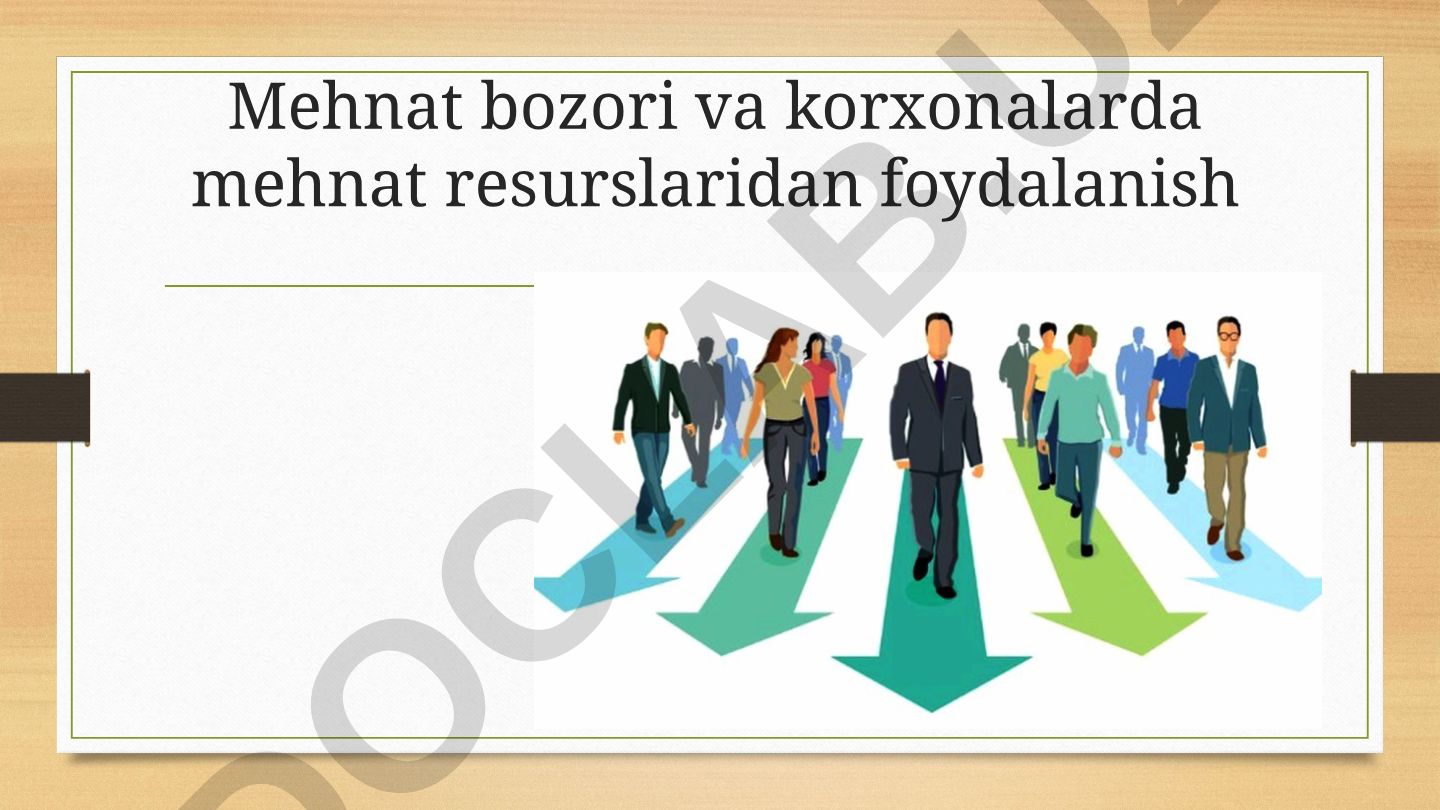 Mehnat bozori va korxonalarda mehnat resurslaridan foydalanish