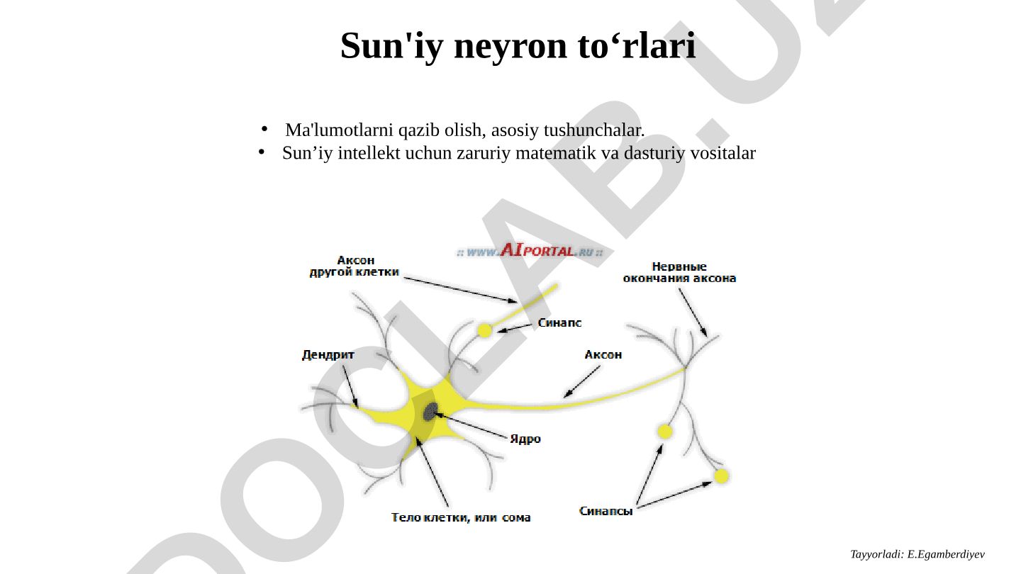 Sun'iy neyron to‘rlari: ma'lumotlarni qazib olish va asosiy tushunchalar
