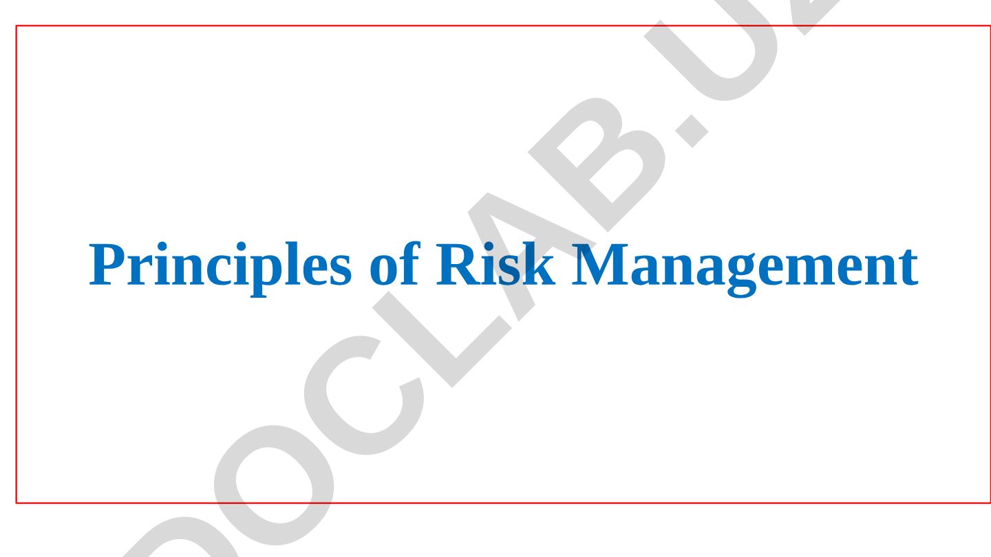 Risk Management Principles and Objectives