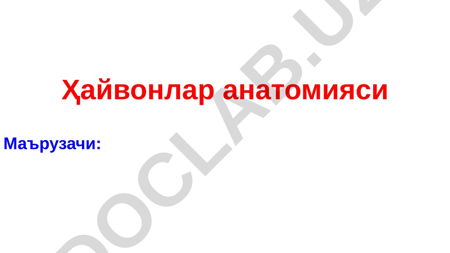 Ихтиёрий ҳаракат органлари. Ўқ суякларини тузилиши. Орган ва уларнинг системалари