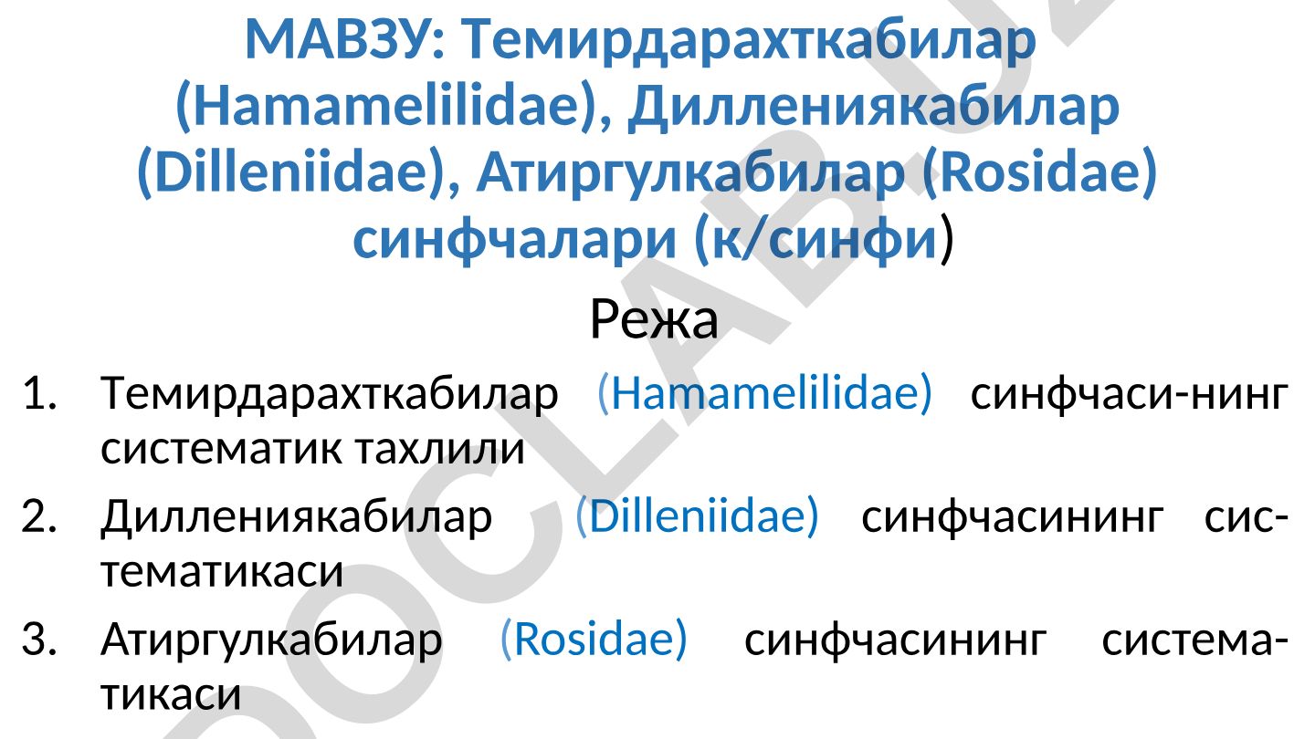 Тeмирдарахткабилар, Диллeниякабилар, Атиргулкабилар синфчаларининг систематик тахлили