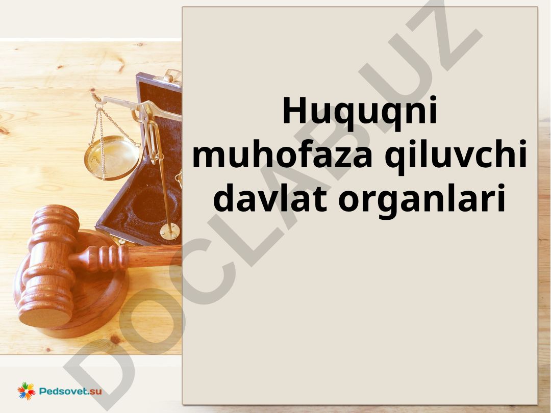 Huquqni muhofaza qiluvchi davlat organlari