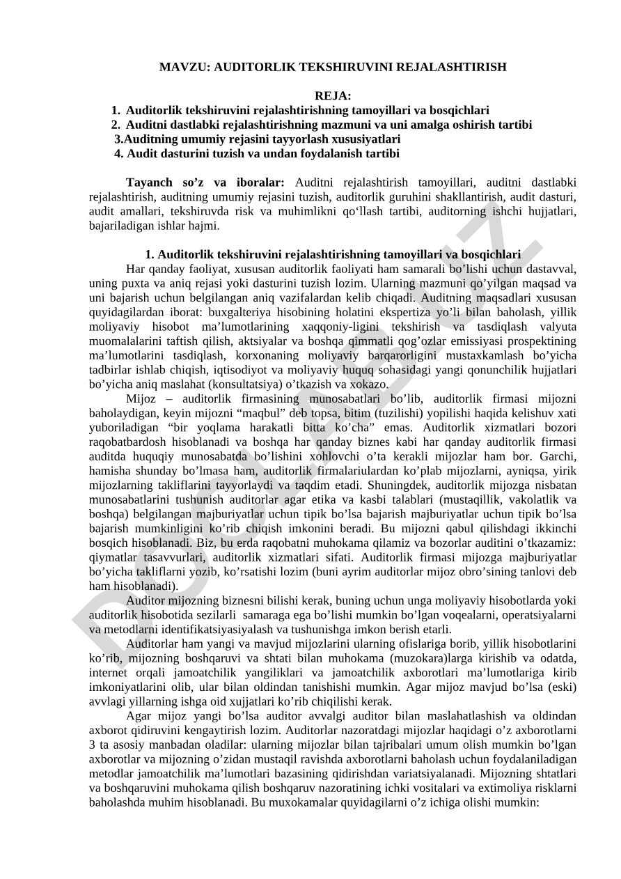 Auditorlik tekshiruvini rejalashtirish reja