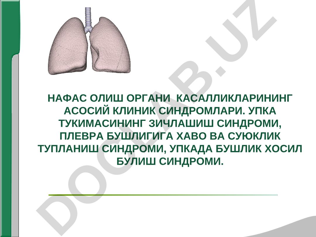 Нафас олиш органи касалликларининг асосий клиник синдромлари