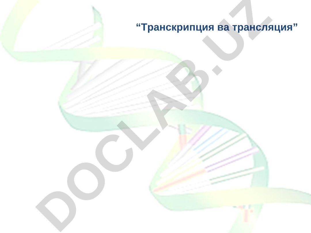Транскрипция ва трансляция