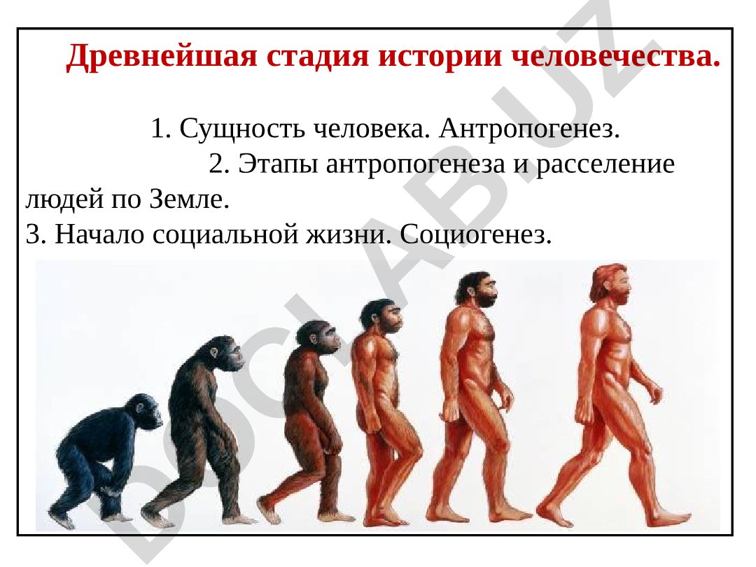 Древнейшая стадия истории человечества: антропогенез и социогенез