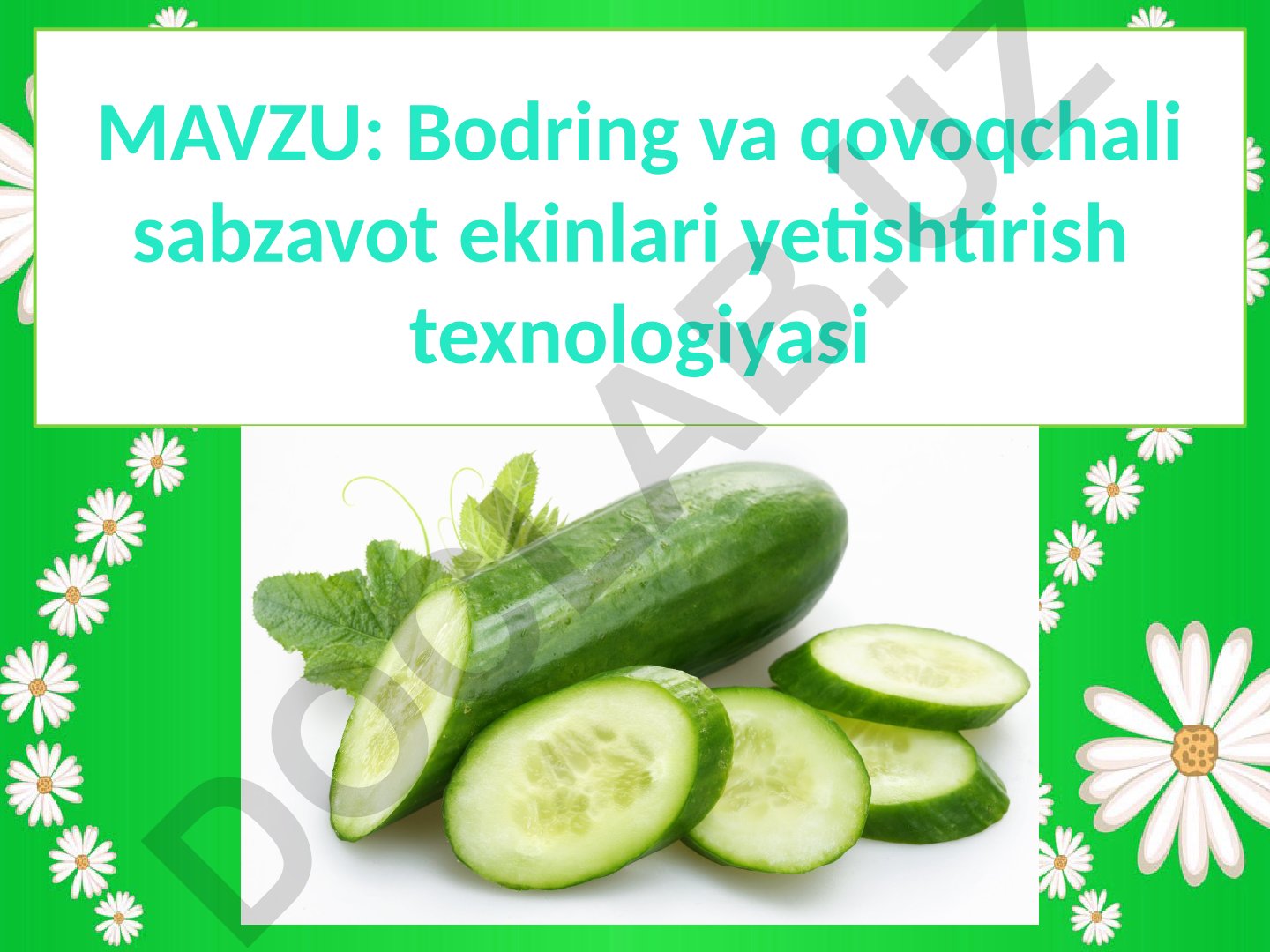 Bodring va qovoqchali sabzavot ekinlari yetishtirish texnologiyasi