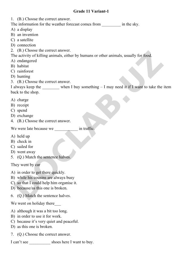 Grade 11 English Test Questions