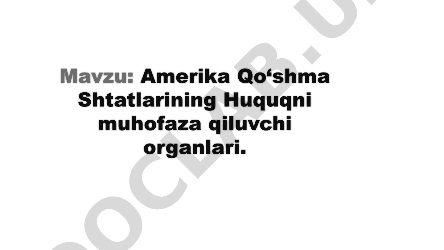 Amerika Qo‘shma Shtatlarining Huquqni muhofaza qiluvchi organlari