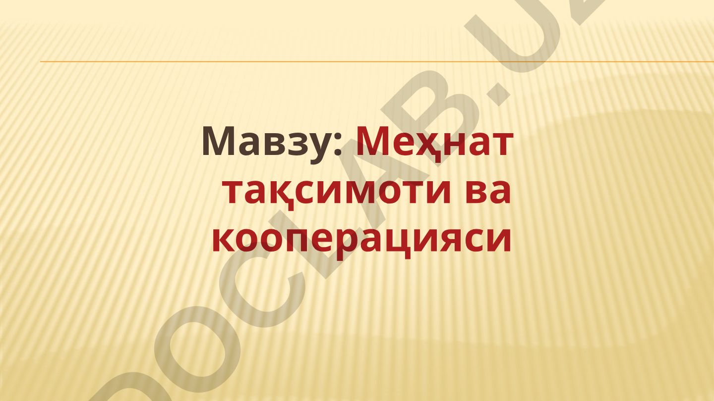 Меҳнат тақсимоти ва кооперацияси