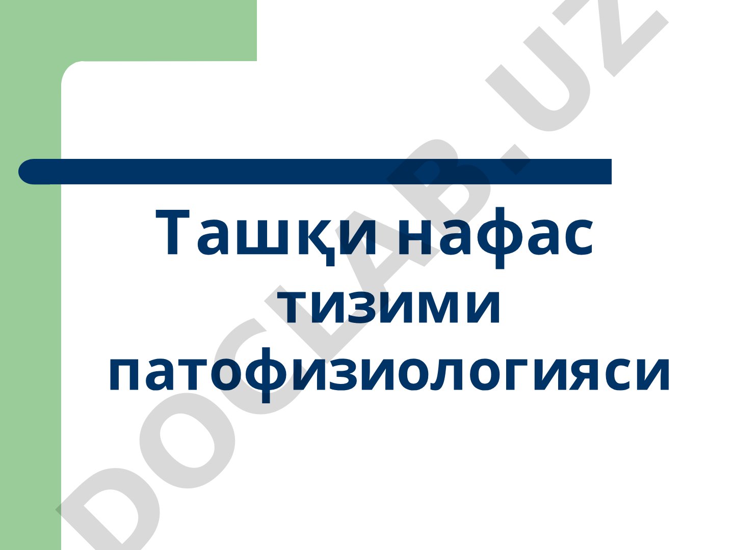Ташқи нафас тизими патофизиологияси ва функциялари