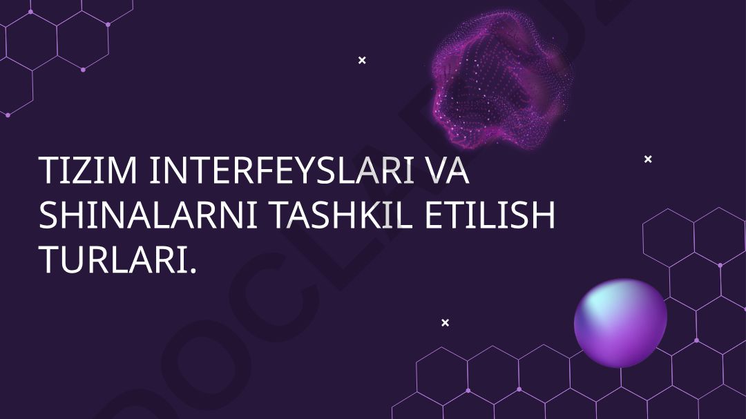 Tizim interfeyslari va shinalarni tashkil etilish turlari