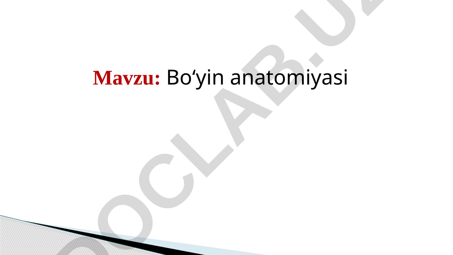 Bo‘yin anatomiyasi Umurtqalarning xususiy anatomik tuzilishlari