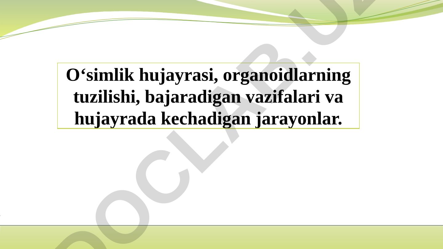 O'simlik hujayrasi tuzilishi va organoidlari