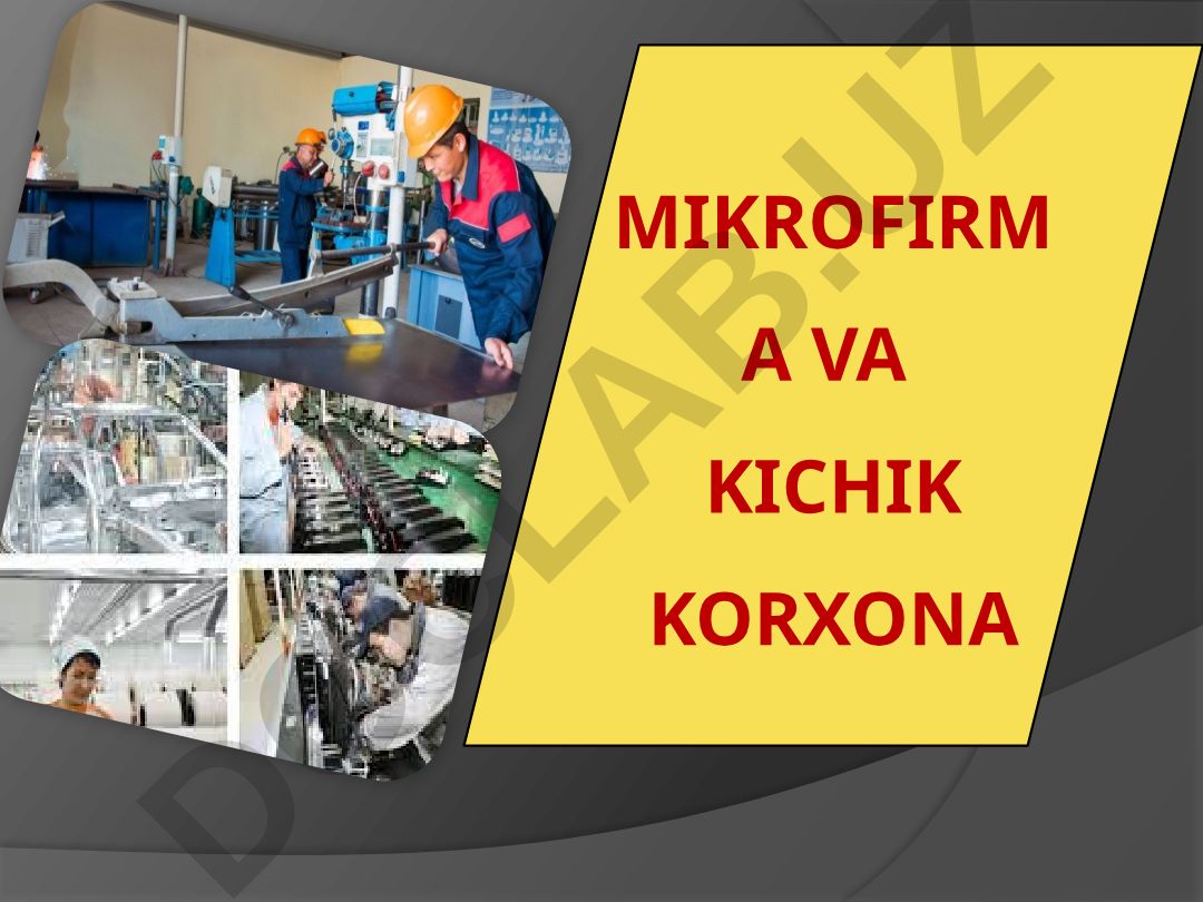Mikrofirma va kichik korxona kichik tadbirkorlik subyektlari