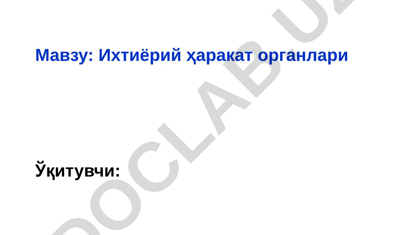 Ихтиёрий ҳаракат органлари