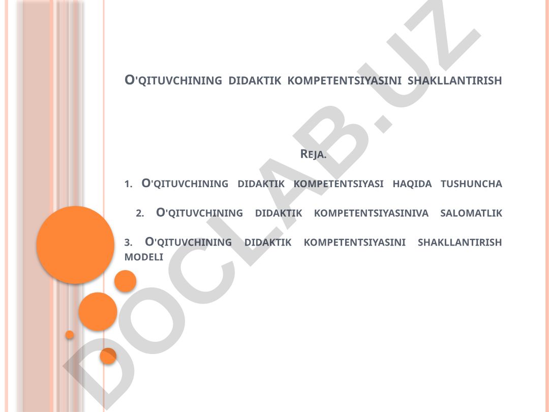 O'qituvchining didaktik kompetentsiyasini shakllantirish