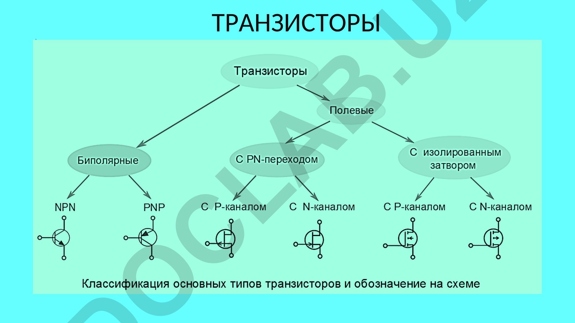 Транзисторы: биполярные и полевые транзисторы