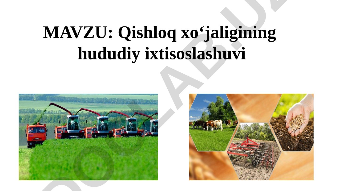 Qishloq xo‘jaligining hududiy ixtisoslashuvi