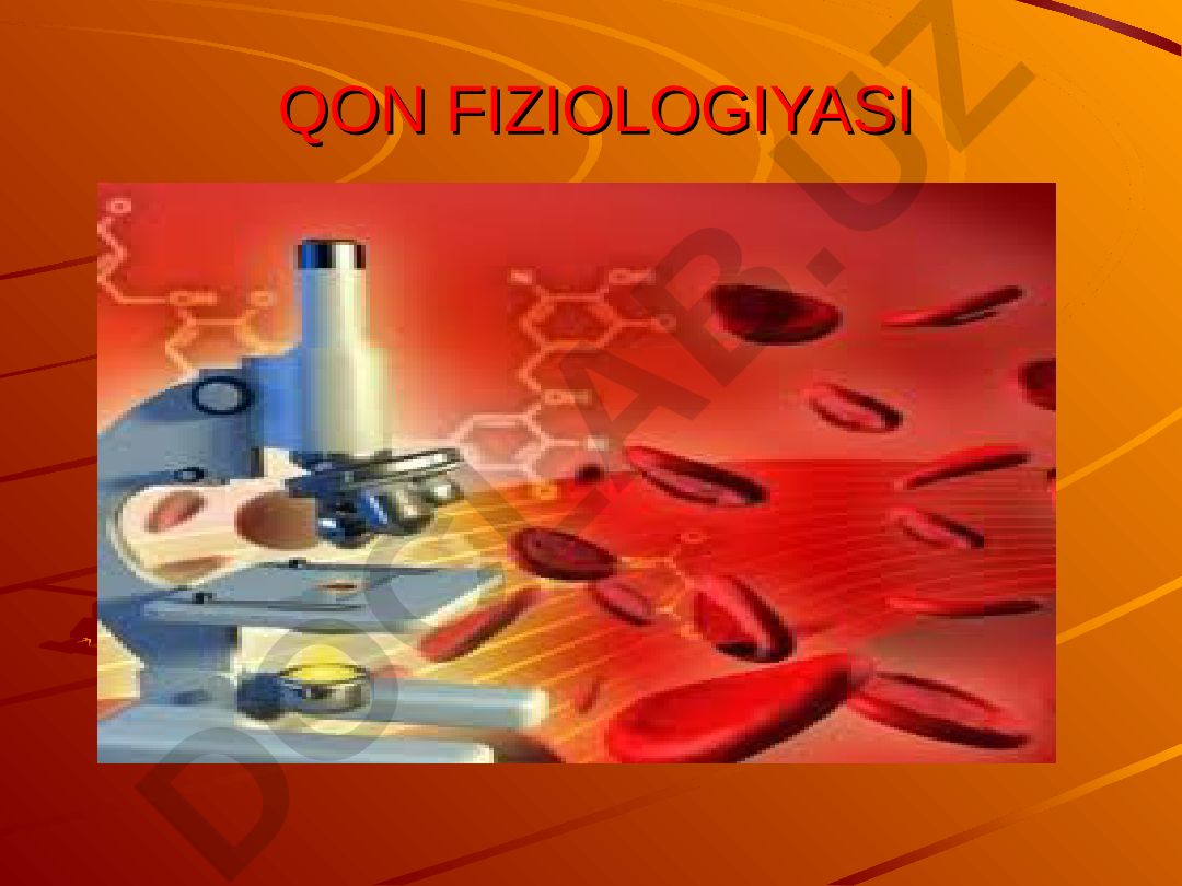 Qon fiziologiyasi