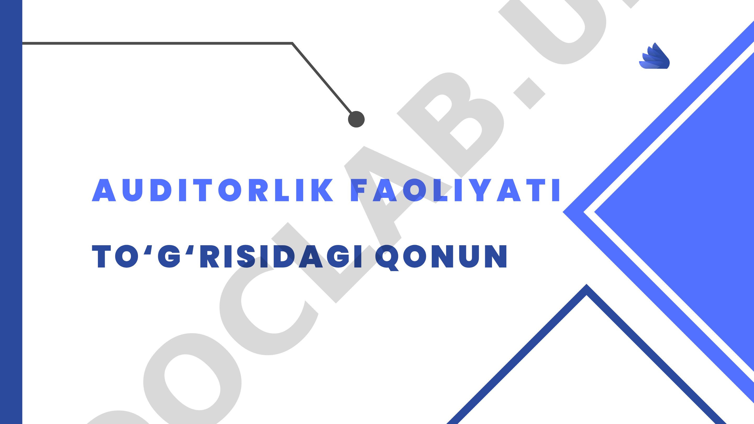 Auditorlik faoliyati to'g'risidagi qonun