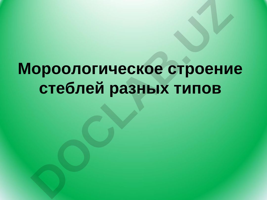 Морфологическое строение стеблей разных типов