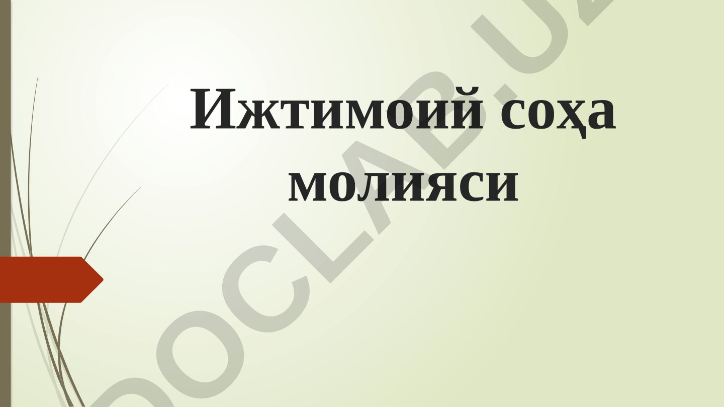 Ижтимоий соҳа молияси ва ижтимоий сиёсат