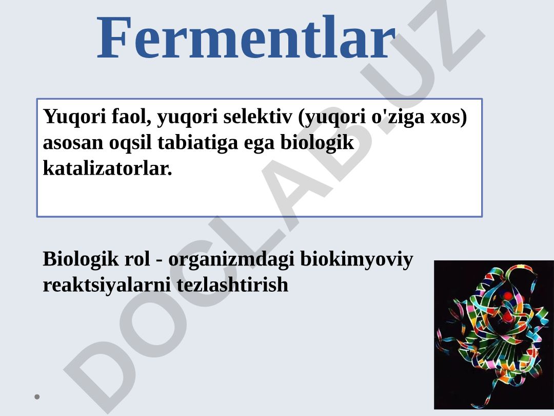 Fermentlar: tuzilishi, xususiyatlari va ta'sir mexanizmi