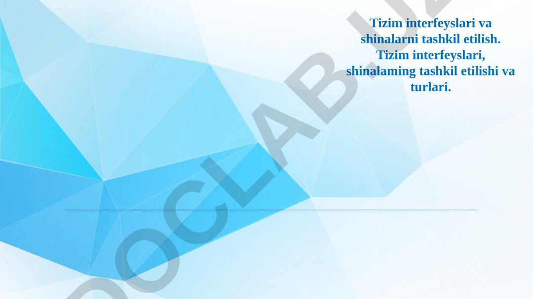 Tizim interfeyslari va shinalarni tashkil etilishi