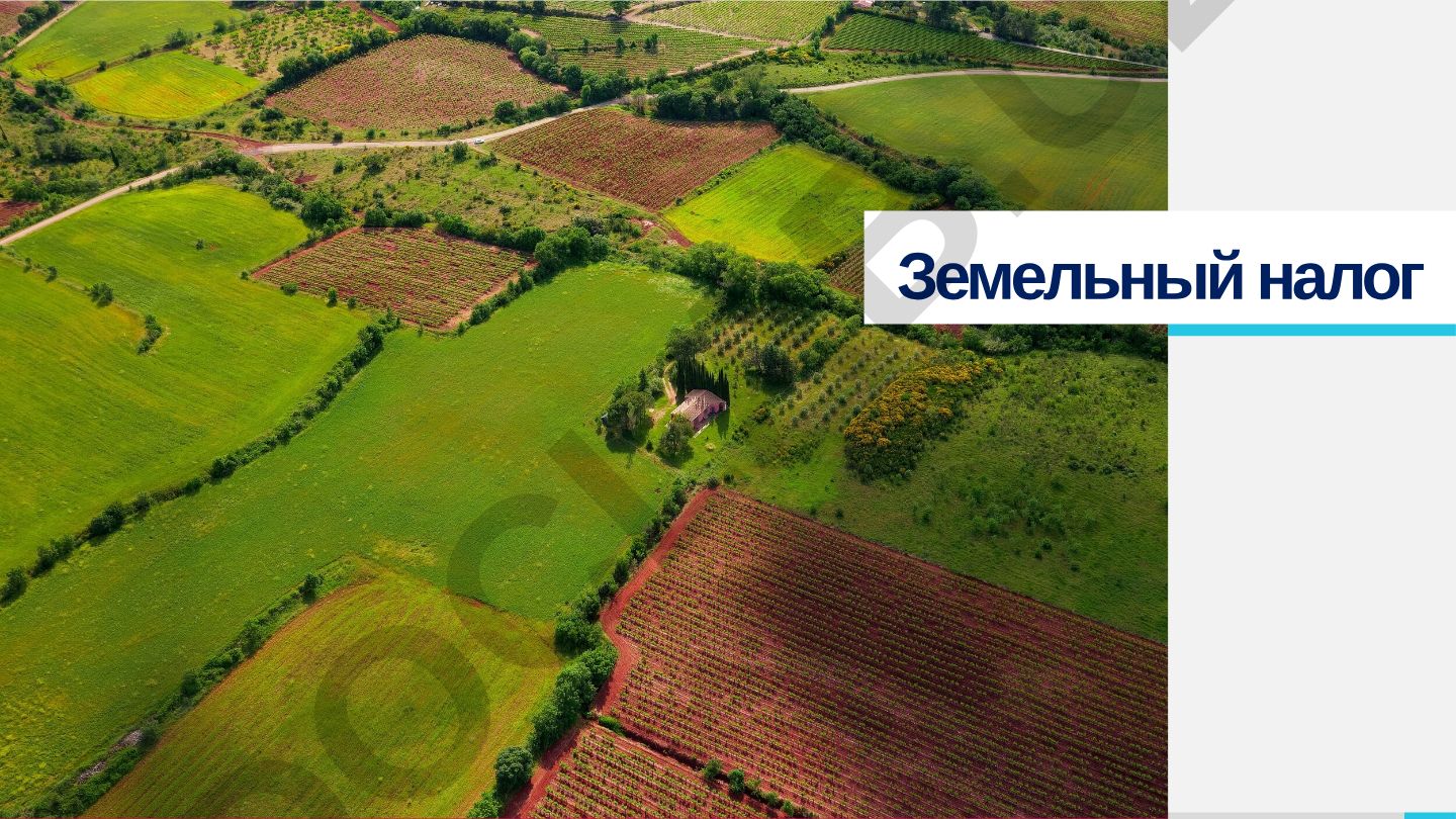 Земельный налог для юридических лиц