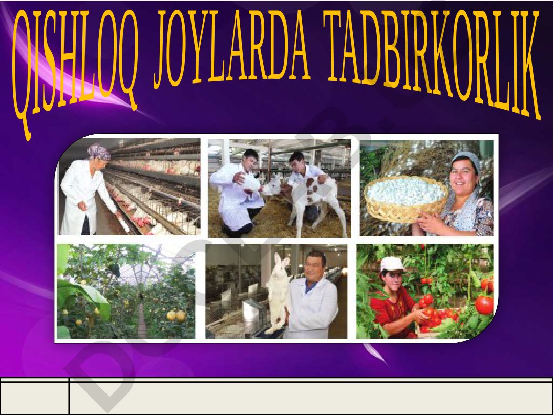 Qishloq joylarda tadbirkorlik va shaxsiy yordamchi xo'jaliklar