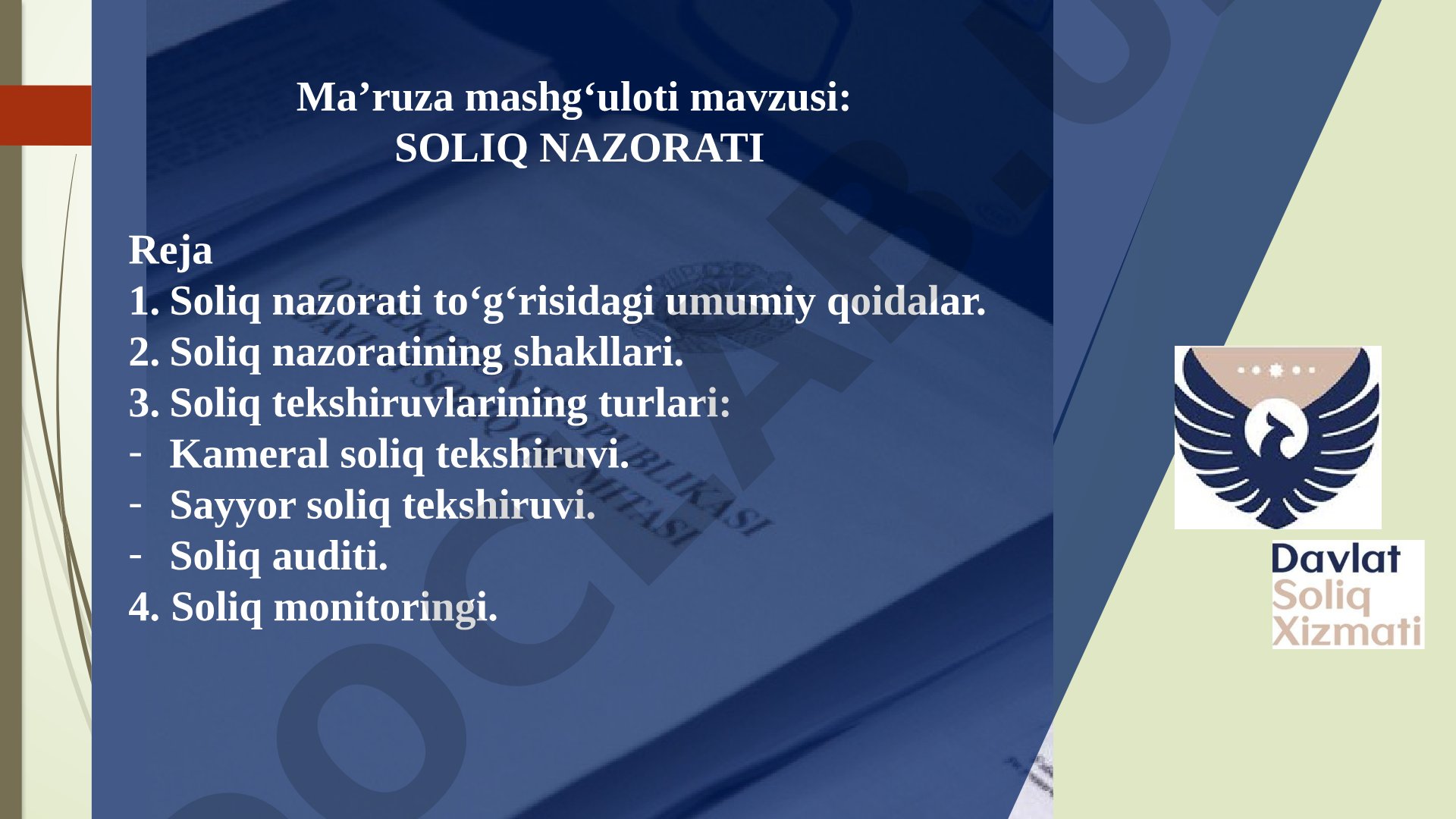 Soliq nazorati