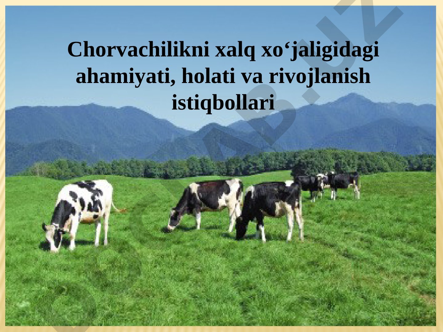 Chorvachilikni xalq xo'jaligidagi ahamiyati, holati va rivojlanish istiqbollari