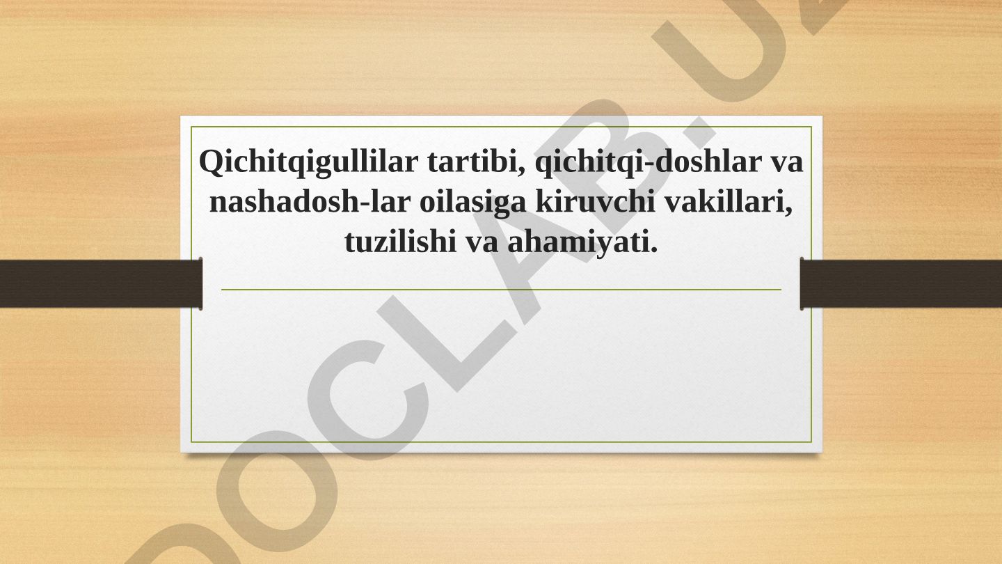 Qichitqigullilar tartibi, qichitqi-doshlar va nashadoshlar oilasiga kiruvchi vakillari, tuzilishi va ahamiyati