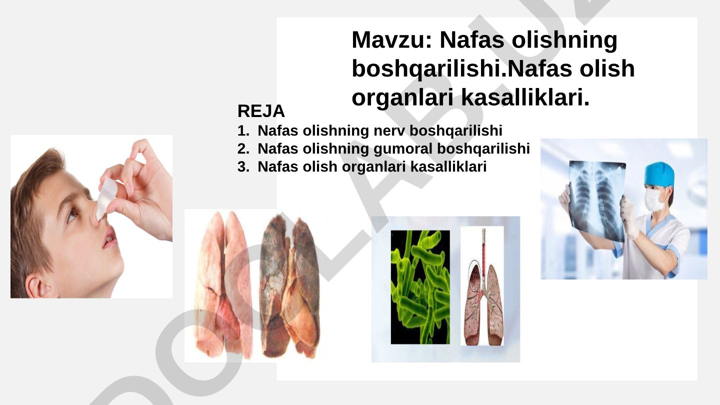 Nafas olishning boshqarilishi va nafas olish organlari kasalliklari