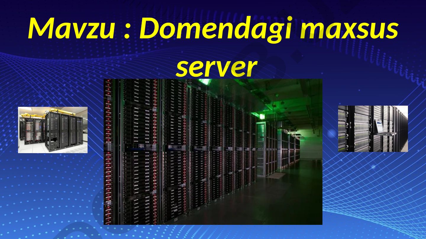 Domendagi maxsus server