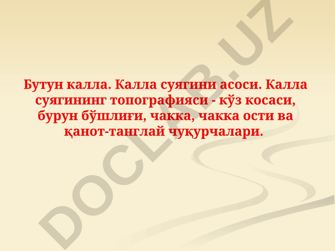 Бутун калла топографияси ва калла суягининг ички асоси