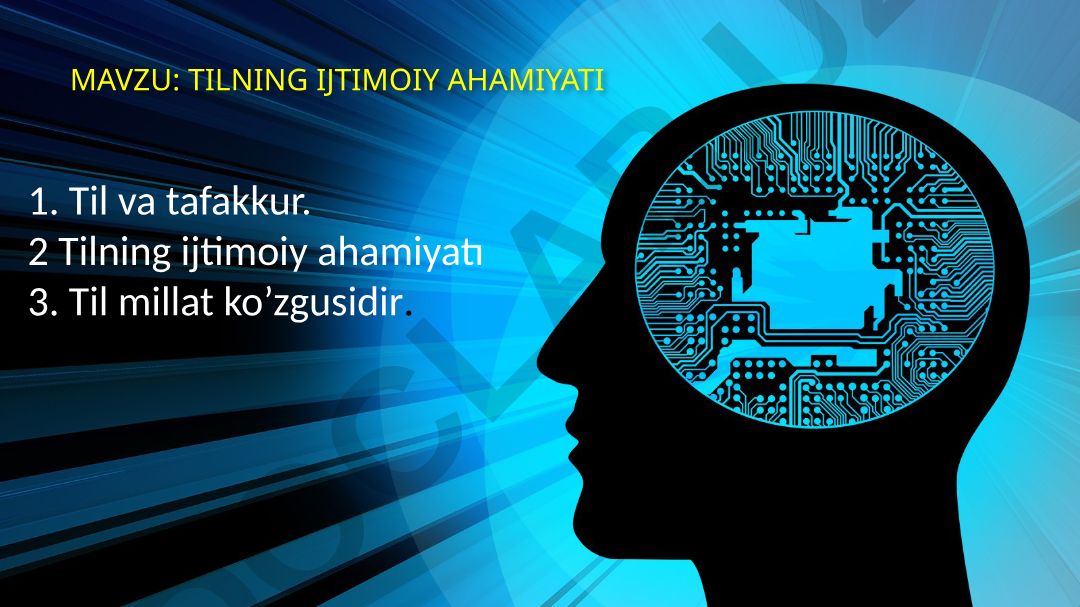 Tilning ijtimoiy ahamiyati