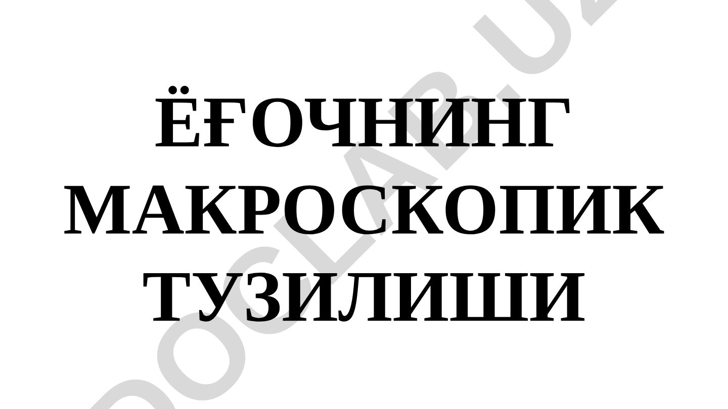 Ёғочнинг макроскопик тузилиши ва дарахт танасининг кесимлари