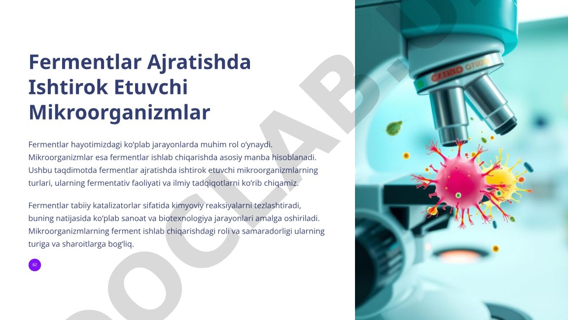 Fermentlar Ajratishda Ishtirok Etuvchi Mikroorganizmlar