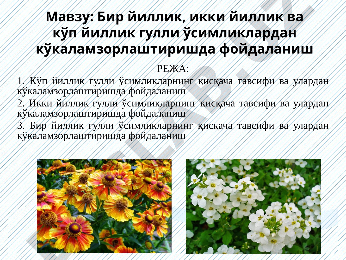 Бир йиллик, икки йиллик ва кўп йиллик гулли ўсимликлардан кўкаламзорлаштиришда фойдаланиш