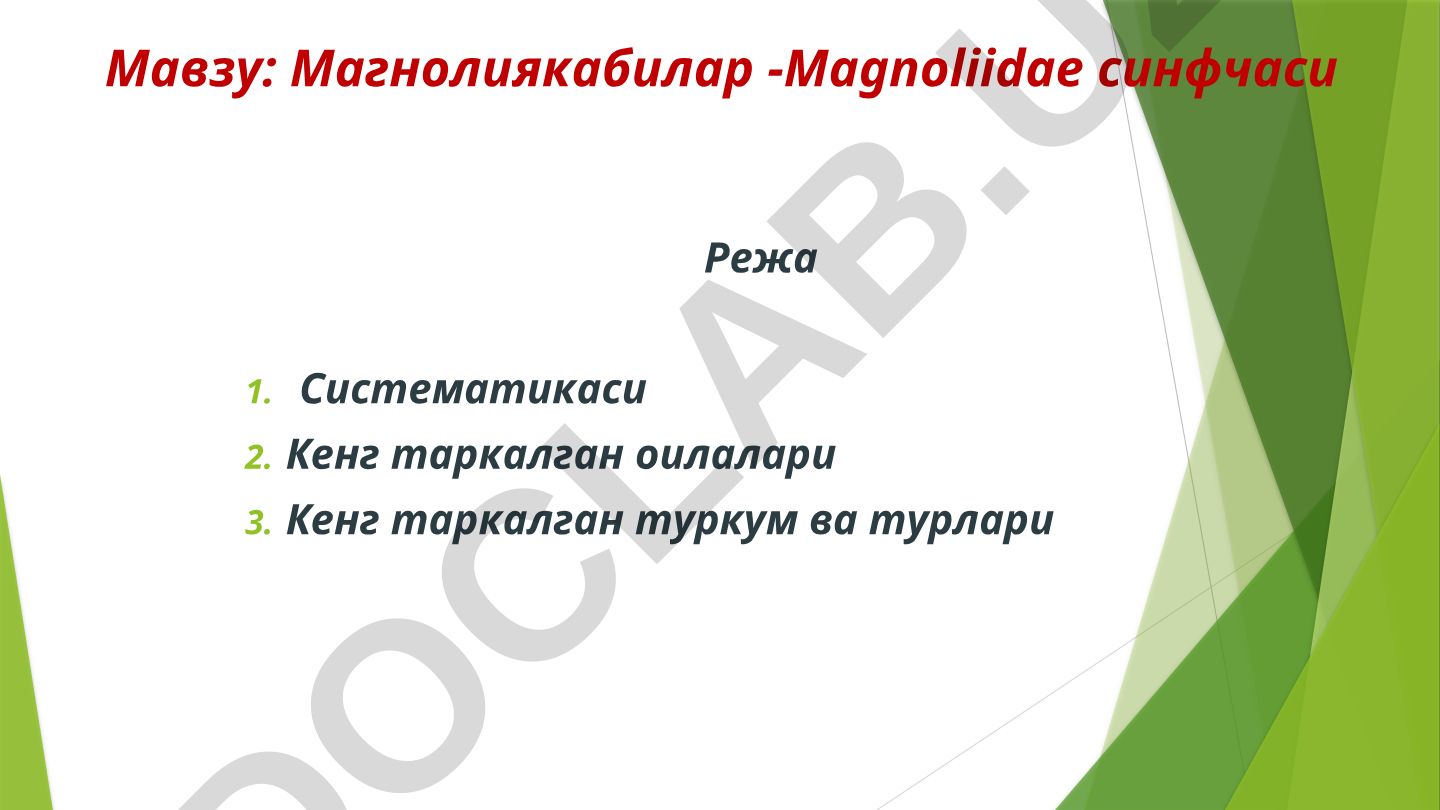 Магнолиякабилар - Magnoliidae синфчасининг систематикаси
